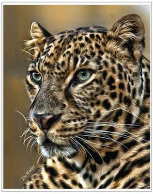 Jaguar.jpg